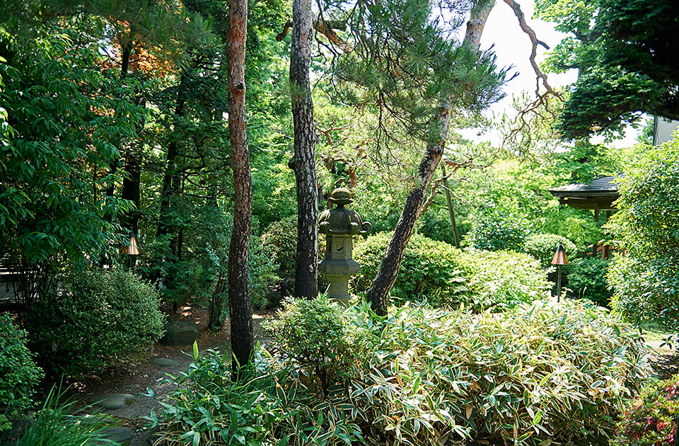 藤屋御本陳の日本庭園・ガーデン